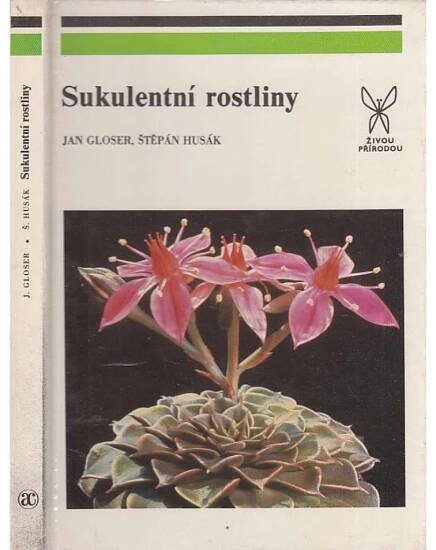 Sukulentní rostliny (kaktusy, sukulenty)