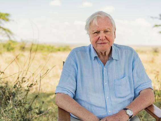 Sir David Attenborough joins Instagram: 'The world is in trouble'