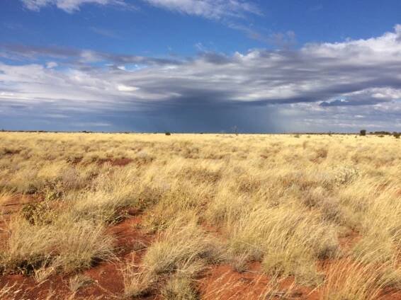Gibson Desert