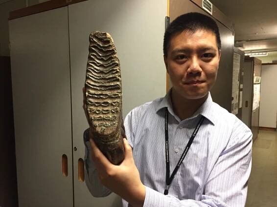 Talking with... Steven Zhang