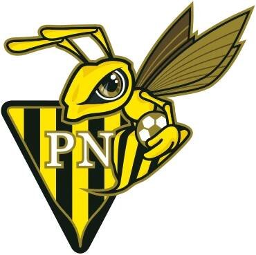 FC Progrès Niederkorn - Wikipedia
