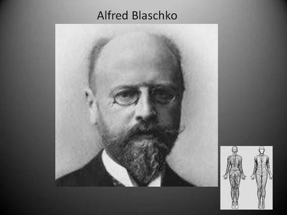 Blaschko, alfred