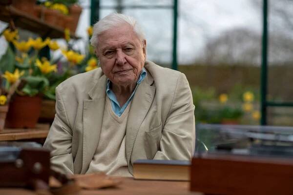 How to watch Attenborough's Wonder of Song - Discover Wildlife