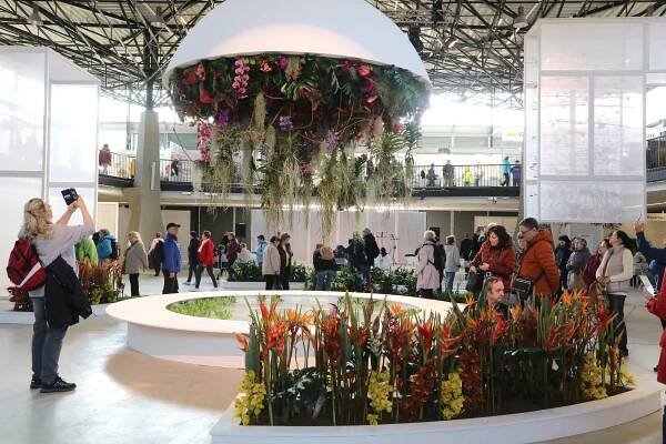 Květinová Flora Olomouc je zpět. Hlavní expozice s názvem Květy a světy znázorňuje koloběh života | Olomouc Tourism