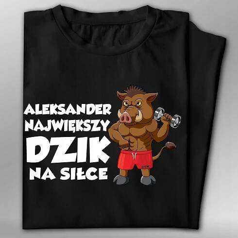 Vtipné Trička Pro Muže - Nízká cena na Allegro, stránka 4