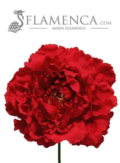 Red flamenco flower