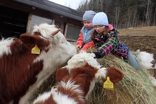 farma u Helenky