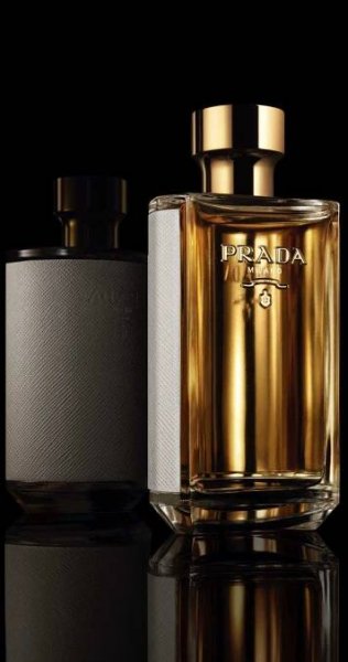 Experience Luxury