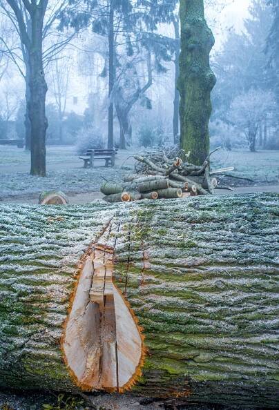 Maciej Kozłowski - Park