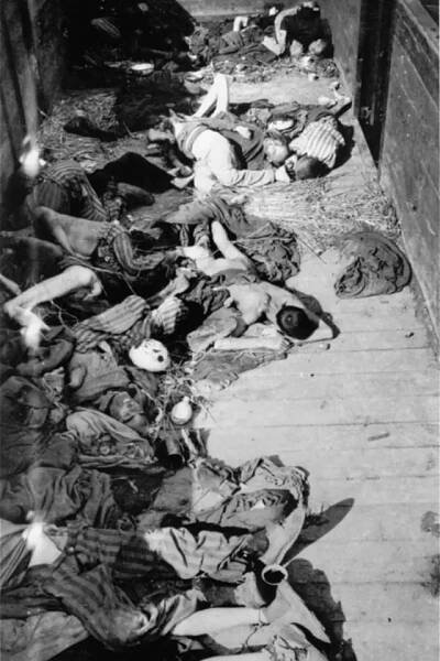 Mrtvá těla vězňů z koncentračního tábora Dachau. Lee Millerová zločiny zdokumentovala.