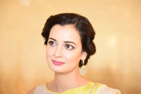 Beautiful Look Pics Of Dia Mirza