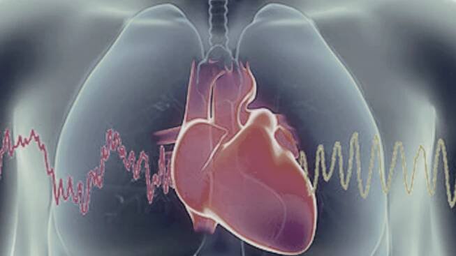 Heart Math Heart Rate Variability Monitoring - Alchemy of Resonance