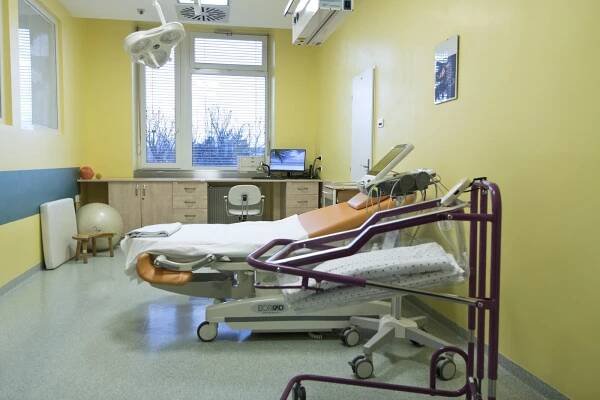 Porodnice Hradec Králové: Fakultní nemocnice Hradec Králové, Porodnicko a gynekologická klinika