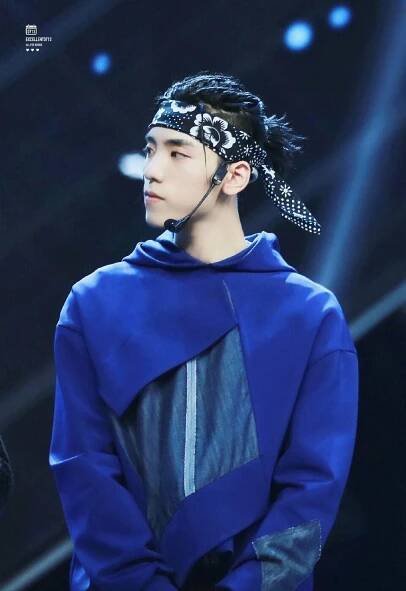 Wang Ziyi (Idol Producer) - Age, Height, Wife, Net Worth, Bio - Kpop Wiki