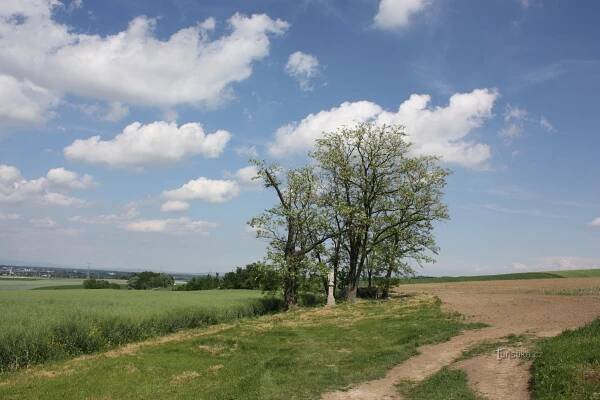 Vyhlídka „U anděla“ Vitčice - Socha
