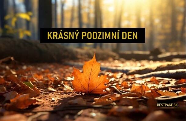 Hlášky na podzim 2025. Přání podzim. Citáty podzim. Básničky