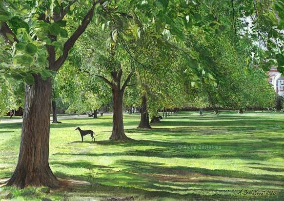Hyde Park