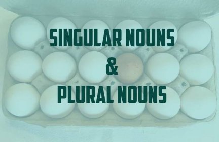 Singular dan Plural Nouns