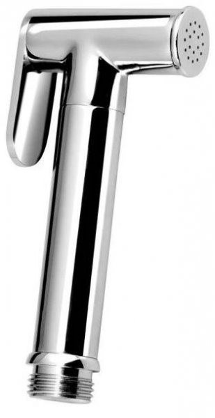 SAPHO BS616