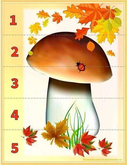 Pin by Gražina Ir Tamulioniai on Ežiukas | Preschool crafts fall, Preschool crafts, Preschool activities toddler