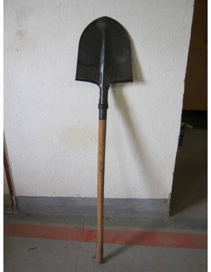 Rýče