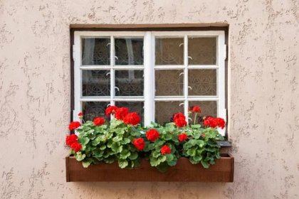 Jak vytvořit dokonalý okenní truhlík