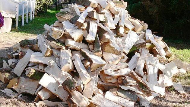 Známe ceny palivového dřeva na Vyškovsku. Oproti loňsku poklesly