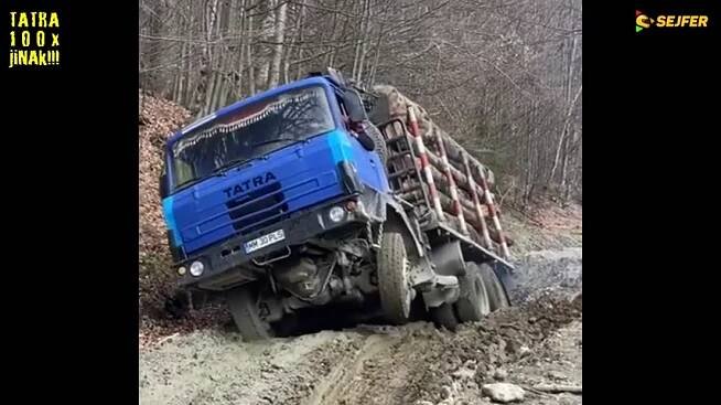 Brutální síla Tatry. Naložená v bahně zvládá i těžkou práci v lese