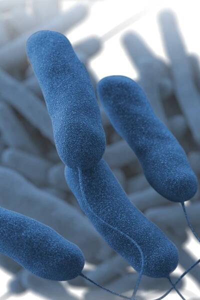 Legionnaires’ disease: ‘Not just a New York City problem’