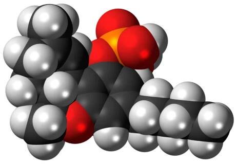 Space-filling model of the THC-O-phosphate molecule