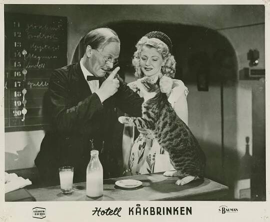 Iréne Söderblom - Hotell Kåkbrinken - Fotosky