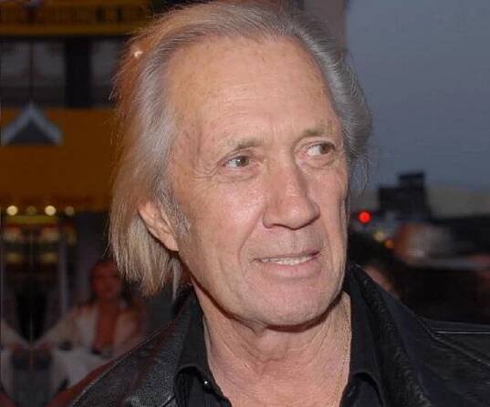 David Carradine Biography - Facts, Childhood, Family Life & Achievements