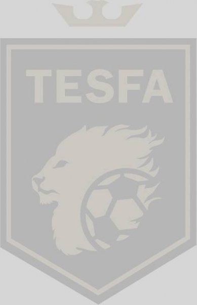 Tesfa Football Academy Logo