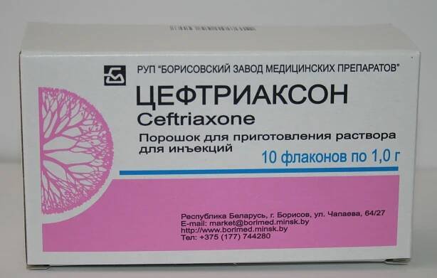 Ceftriaxon pro kočky - návod