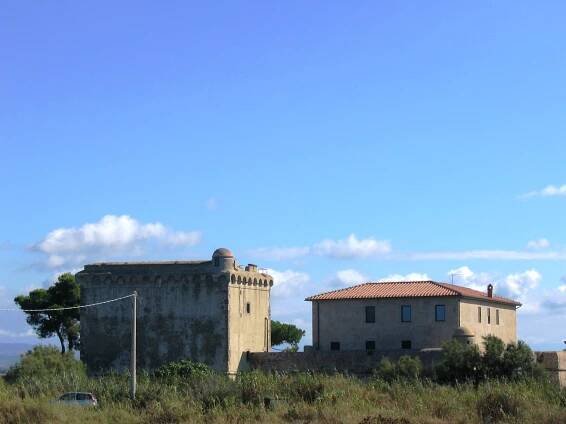 Albinia