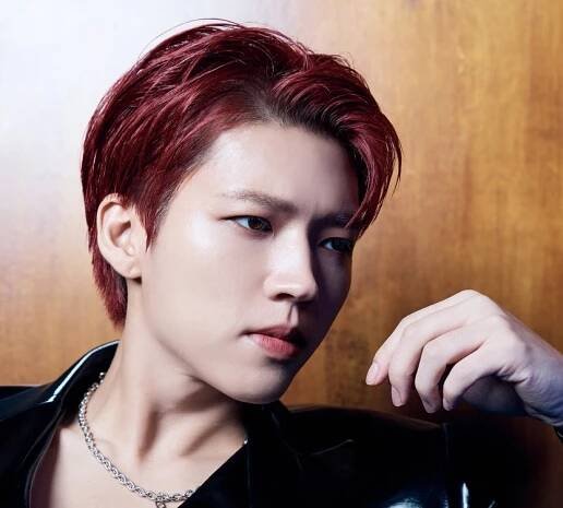 Nam Woo Hyun je pohodář, který na sobě neustále pracuje. Písně si nechává napsat přímo na míru