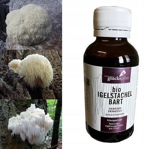 KORÁLOVEC JEŽATÝ Dvojitý extrakt BIO Hericium erinaceus 100 ml