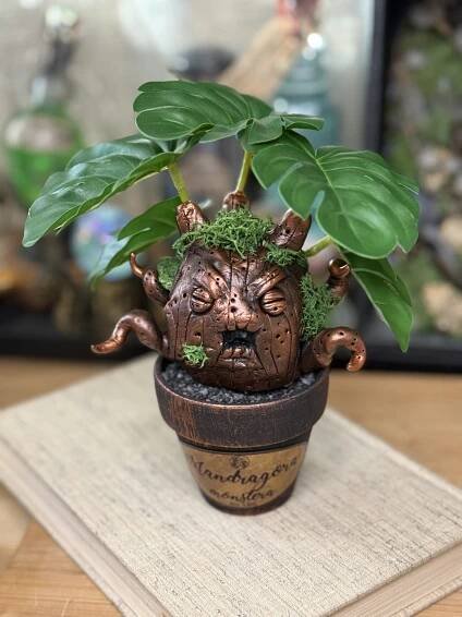 Mandragora Monstera