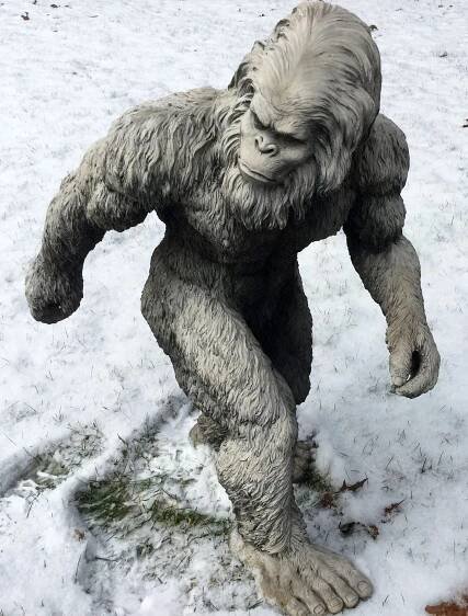 Je tu yeti? Pátrání po sněžném muži pokračuje