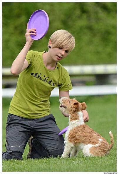 Ulli - Fotoalba - KDDF Tovačov 2013 - mé první letošní dogs frisbee závody