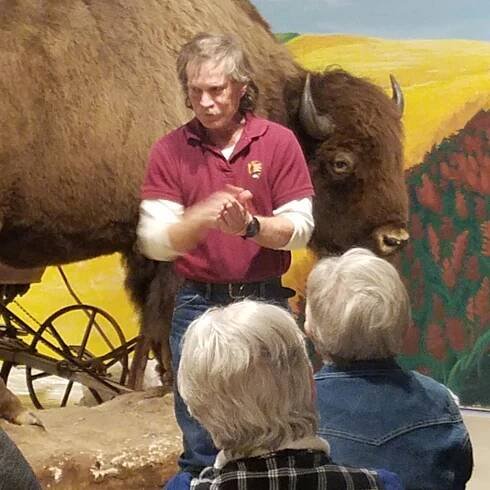 High Plains Museum - Bison Exhibit