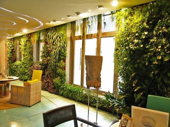 THI CÔNG TƯỜNG CÂY QUÁN CAFE