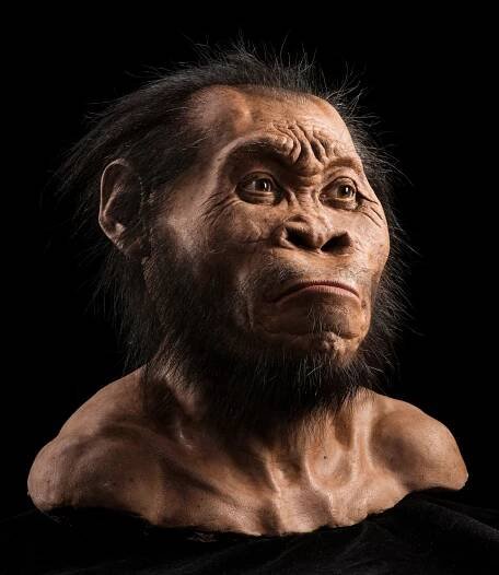 Age of Ape-Human Species Homo naledi Revealed: 236,000 to 335,000 Years Old | National Geographic