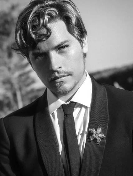 BARBARA PALVIN A DYLAN SPROUSE x Tiffany_2