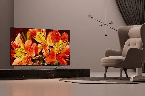 Ivo GRANDIČ - TV - Sony - KD-49XF8505 televize 124 cm Sony