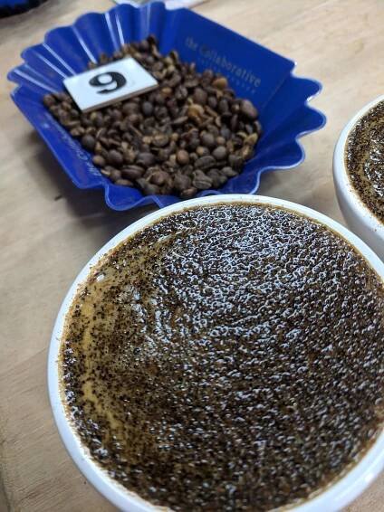 Roest : Helping coffees reach their full potential 