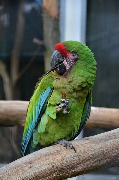 ZOO Děčín