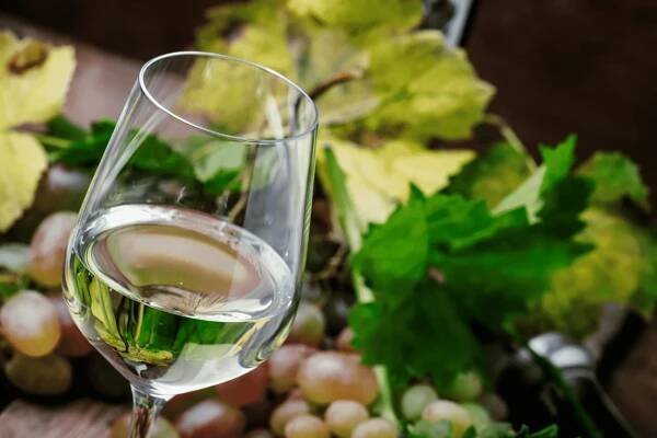 Friuli Grave DOC - Wine and Travel Italy
