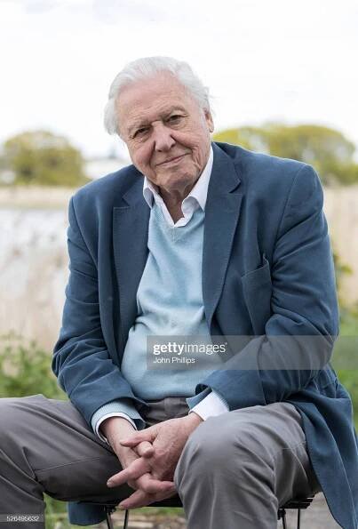 Top 5 facts about Sir David Attenborough which will blow your mind. - Anomalous Club | David attenborough, The quiz show, Children's science