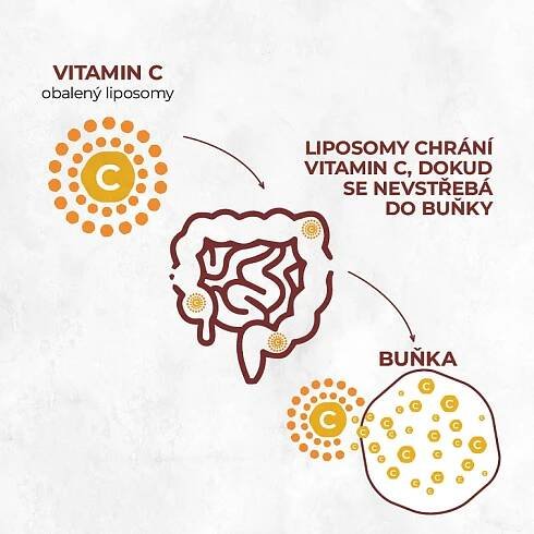 Lipozomální Vitamín C 60 kapslí